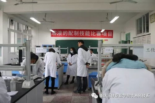 農林科技系第六屆技能大賽 助力農業科研與試驗發展新篇章