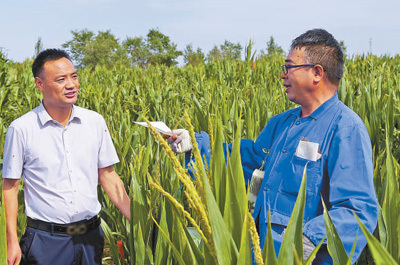 科技賦能特色農(nóng)業(yè) 繪就鄉(xiāng)村振興新畫卷