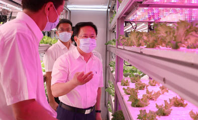 鄭柵潔調(diào)研省農(nóng)科院 強(qiáng)化市場與效率意識(shí)，驅(qū)動(dòng)農(nóng)業(yè)科技創(chuàng)新新篇章