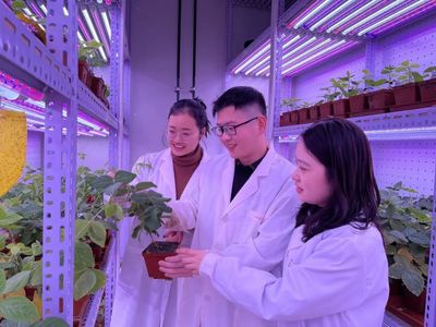 河南大學(xué) 聚焦農(nóng)業(yè)科技創(chuàng)新，打造現(xiàn)代農(nóng)業(yè)發(fā)展新高地